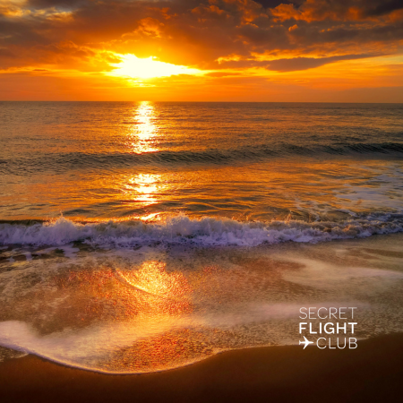 Featured Image SFC 13