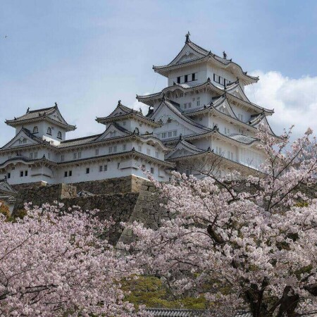 The Best Way To Get Cheap Flights To Japan v2